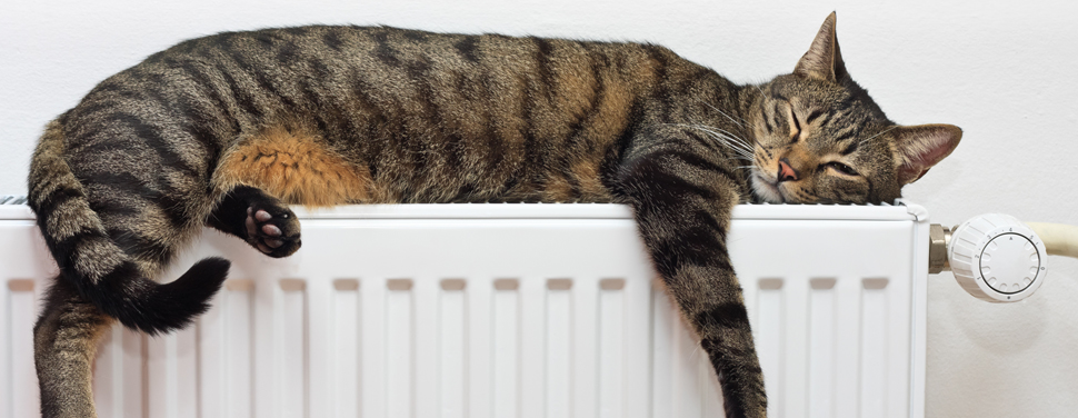 Heating-Controls
