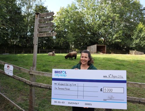 Bristol City Leap Community Energy Fund: A Case Study on Windmill Hill City Farm